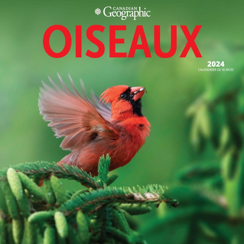 Canadian Geographic Oiseaux 2024 Wall Calendar