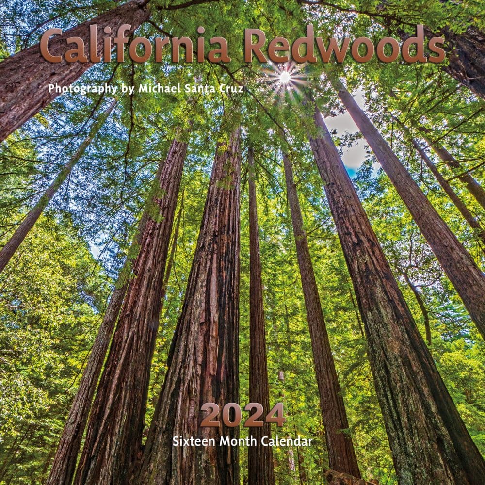 California Redwoods 2024 Wall Calendar