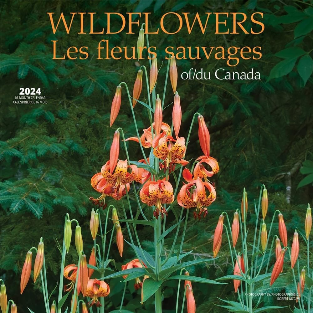 Wildflowers 2024 Wall Calendar