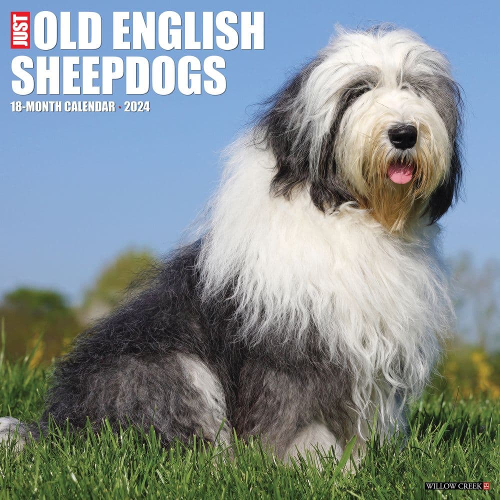 Just Old English Sheepdogs 2024 Wall Calendar