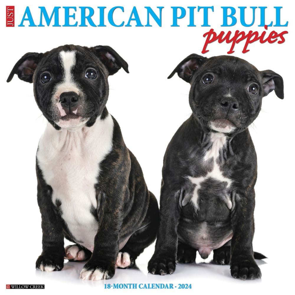 Just Pit Bull Terrier Puppies 2024 Wall Calendar