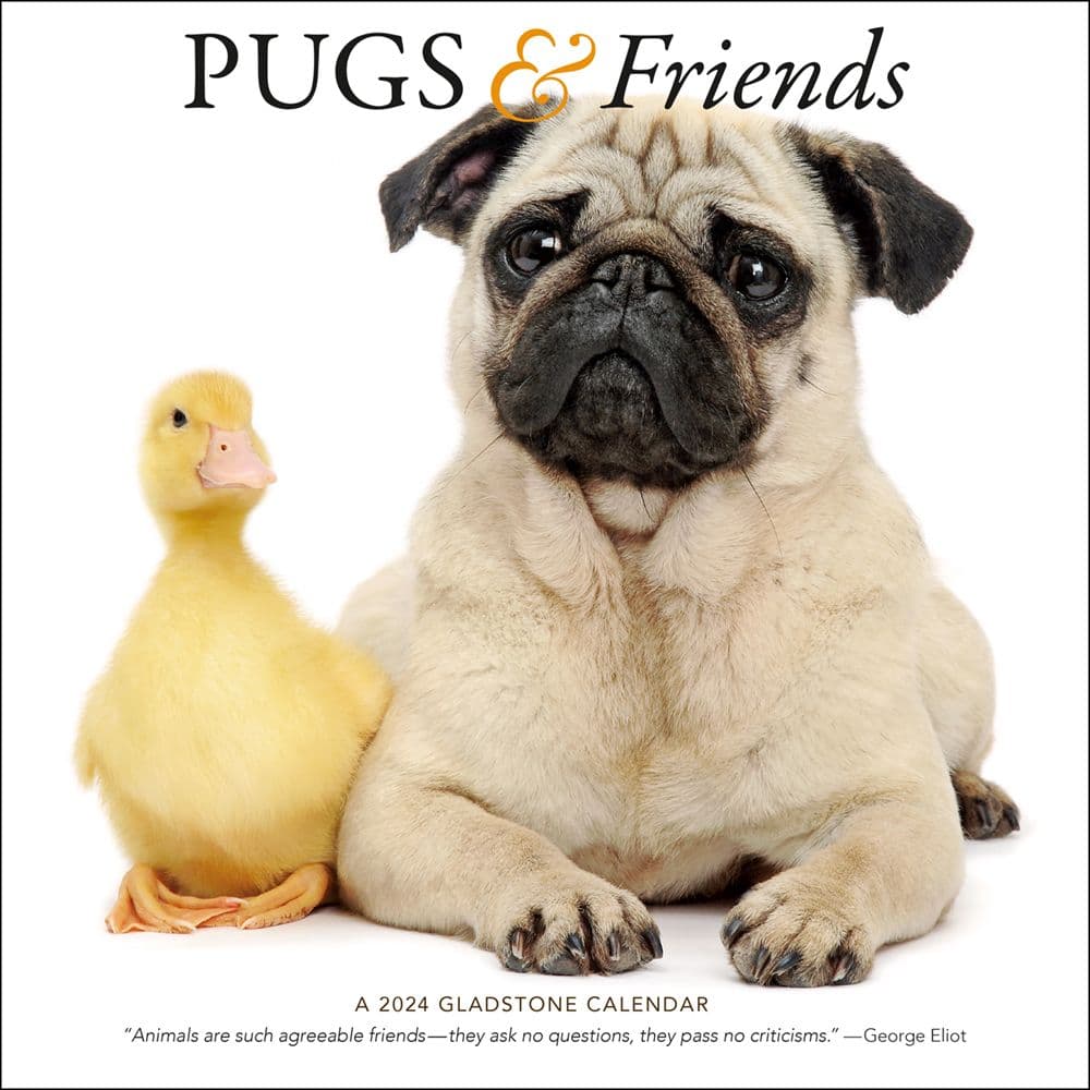Pugs & Friends 2024 Wall Calendar