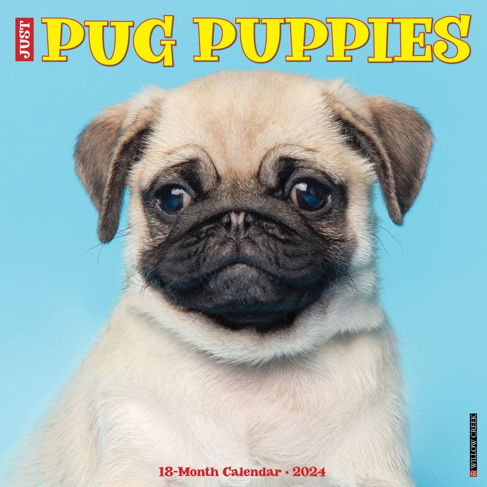 Just Pug Puppies 2024 Wall Calendar