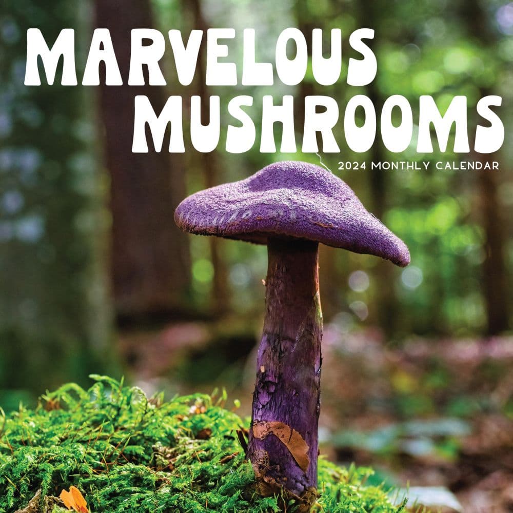 Marvelous Mushrooms 2024 Wall Calendar