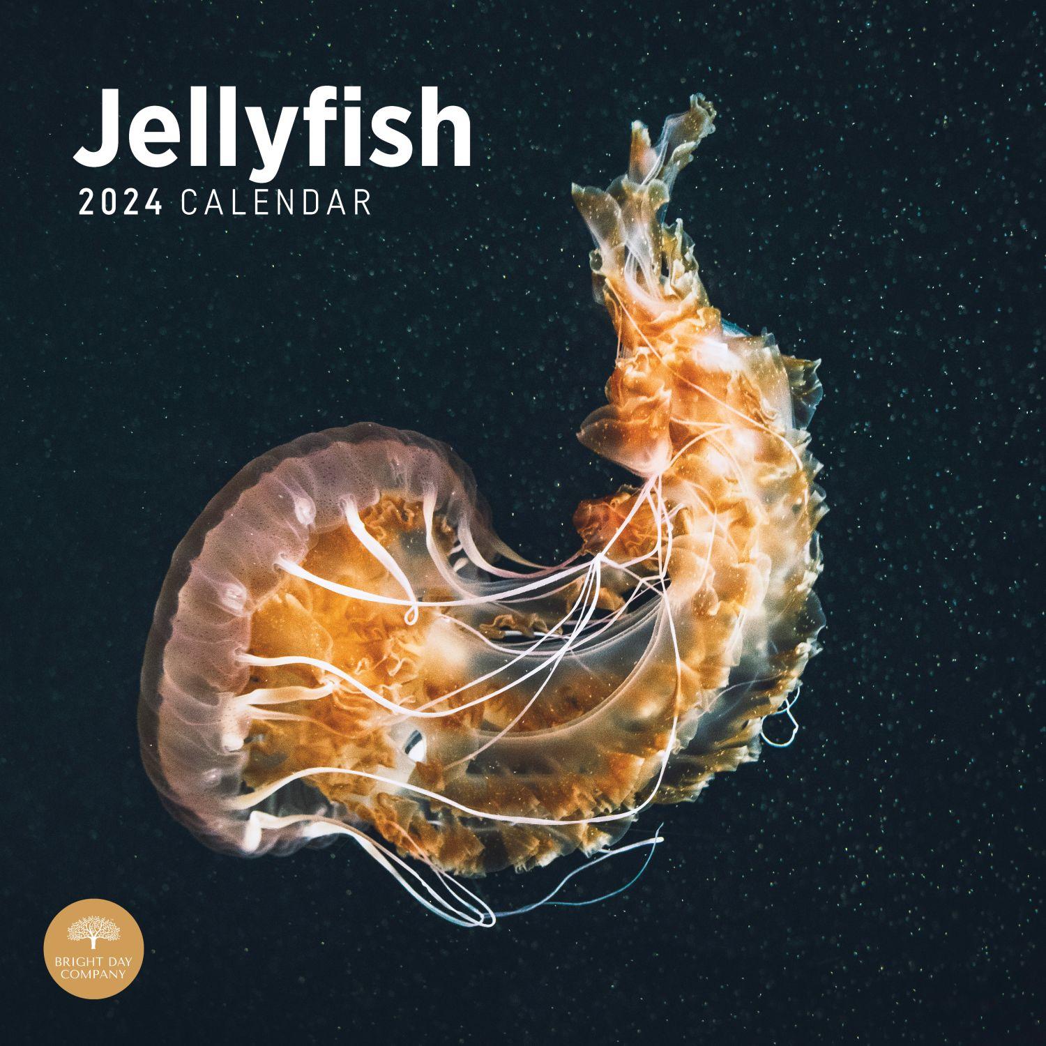 Jellyfish 2024 Wall Calendar
