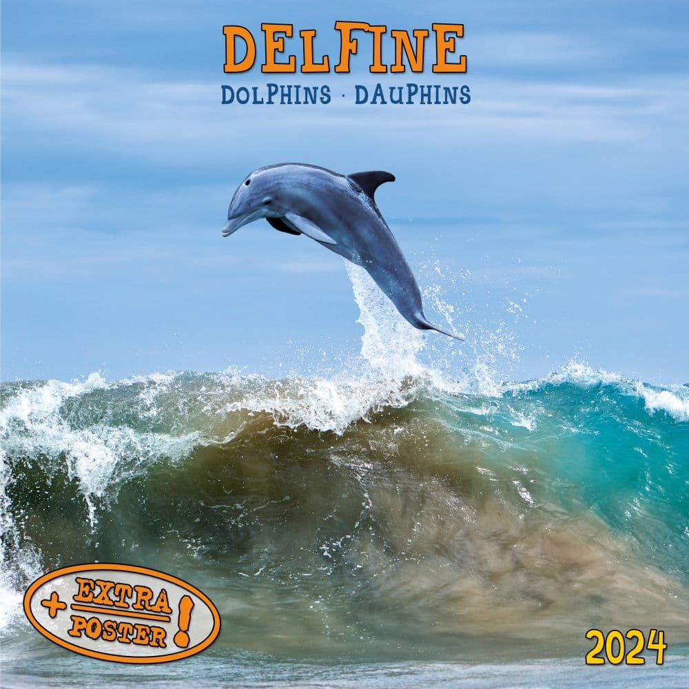 Dolphins 2024 Wall Calendar (French)