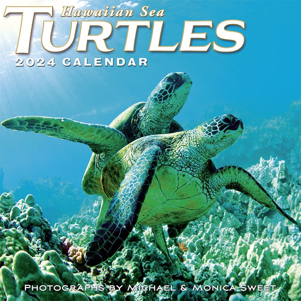 Hawaiian Sea Turtles 2024 Wall Calendar