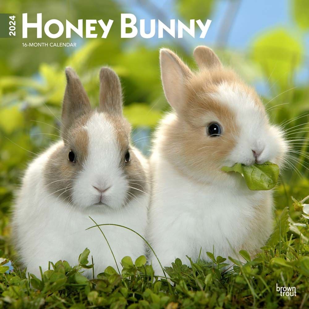 Honey Bunny 2024 Wall Calendar