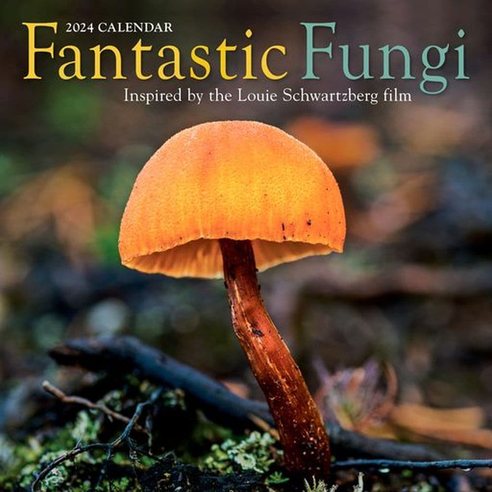 Fantastic Fungi 2024 Wall Calendar