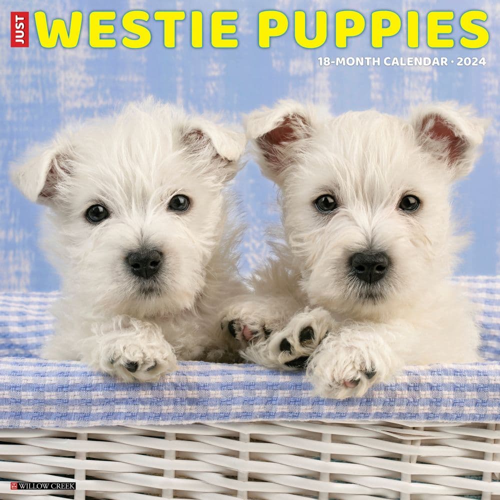 Just Westie Puppies 2024 Wall Calendar