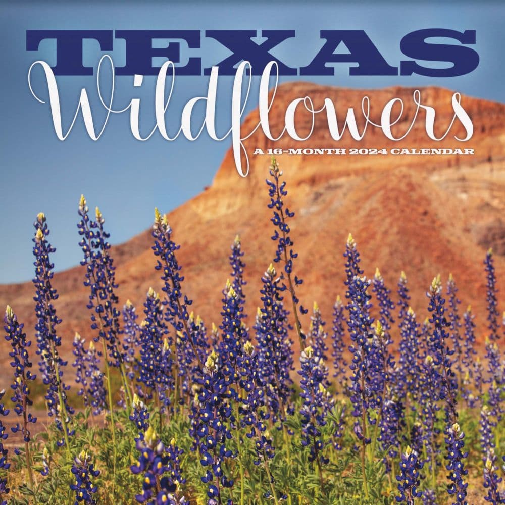 Texas Wildflowers 2024 Wall Calendar