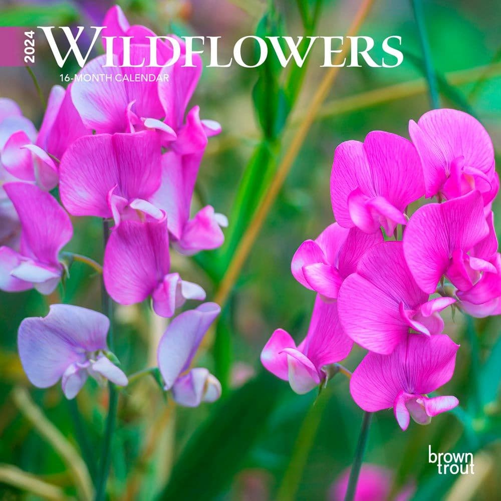 Wildflowers 2024 Mini Wall Calendar