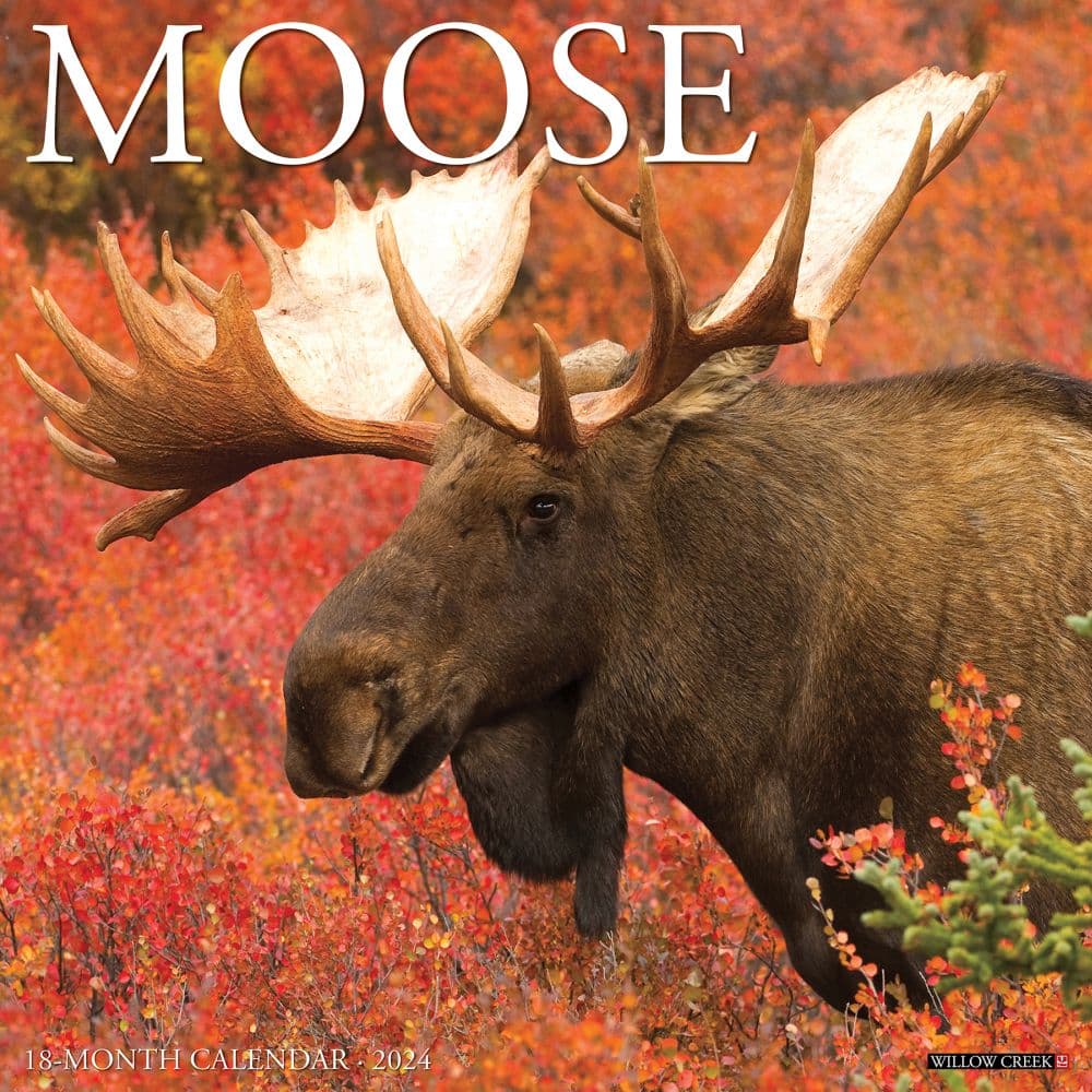 Just Moose 2024 Wall Calendar