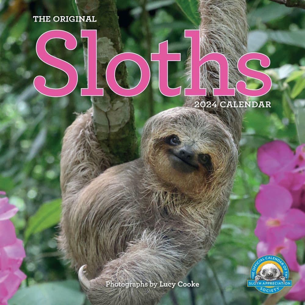 Hanging With Sloths 2024 Wall Calendar