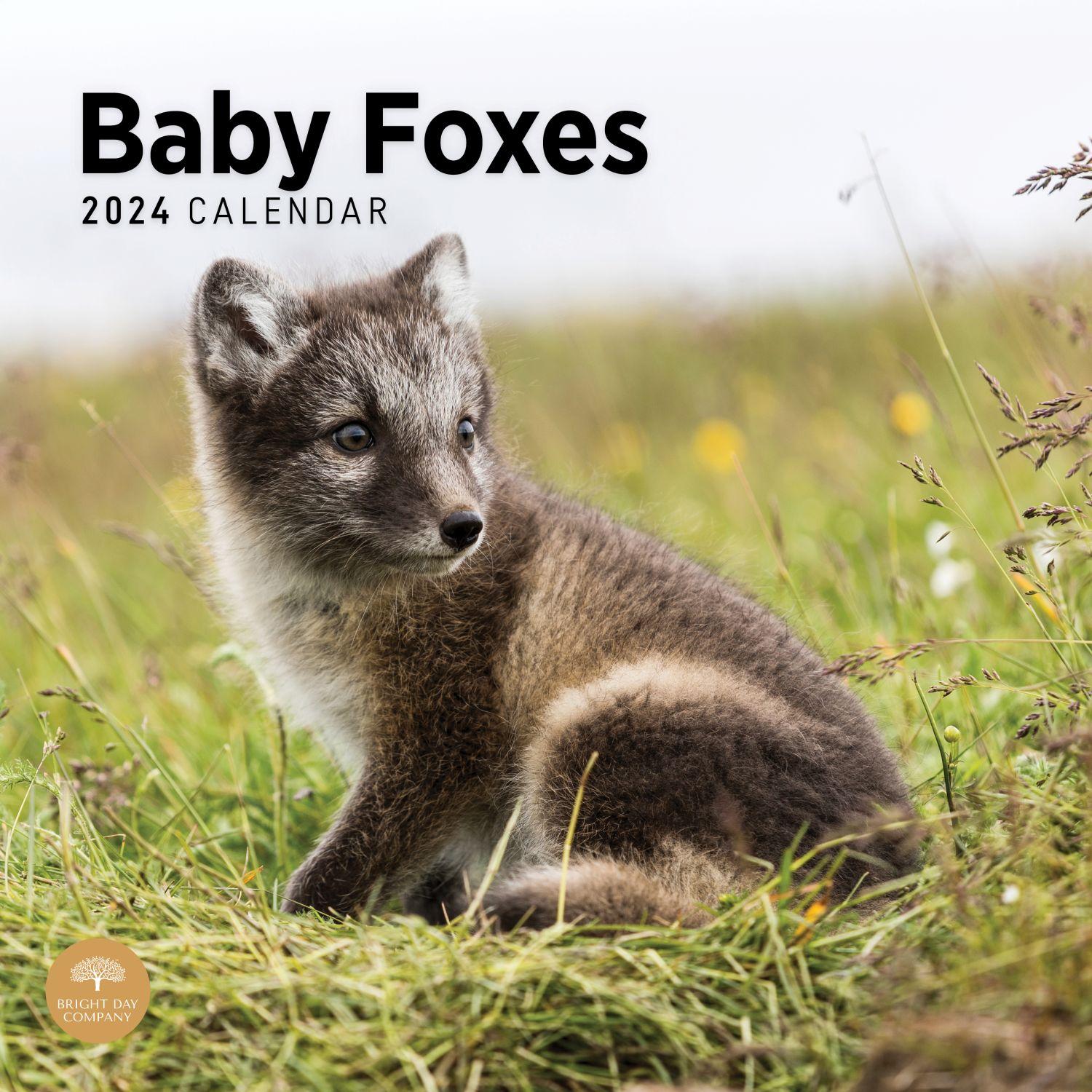 Baby Foxes 2024 Wall Calendar