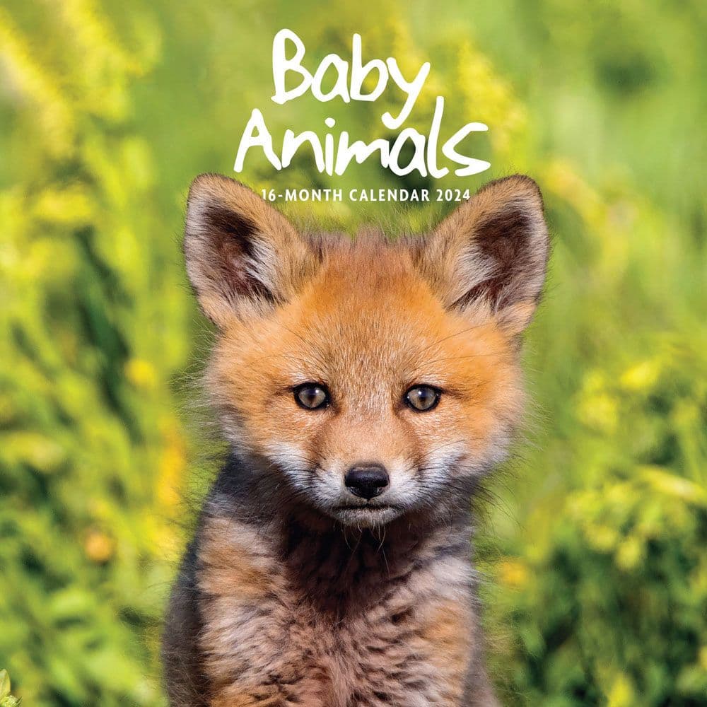Baby Animals 2024 Wall Calendar