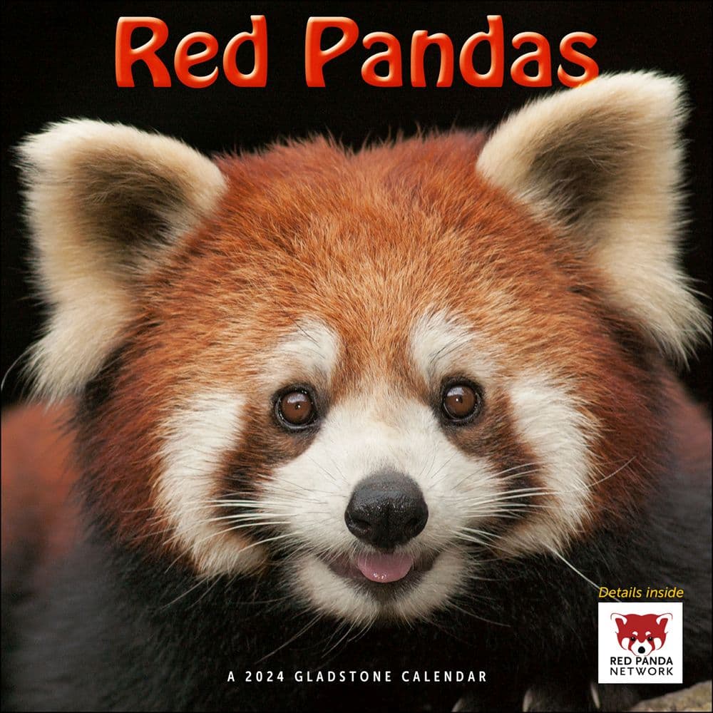 Red Pandas 2024 Wall Calendar