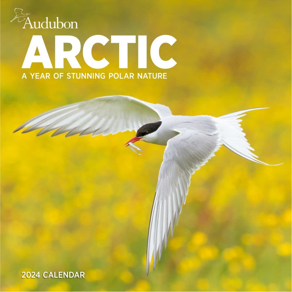 Audubon Arctic 2024 Wall Calendar
