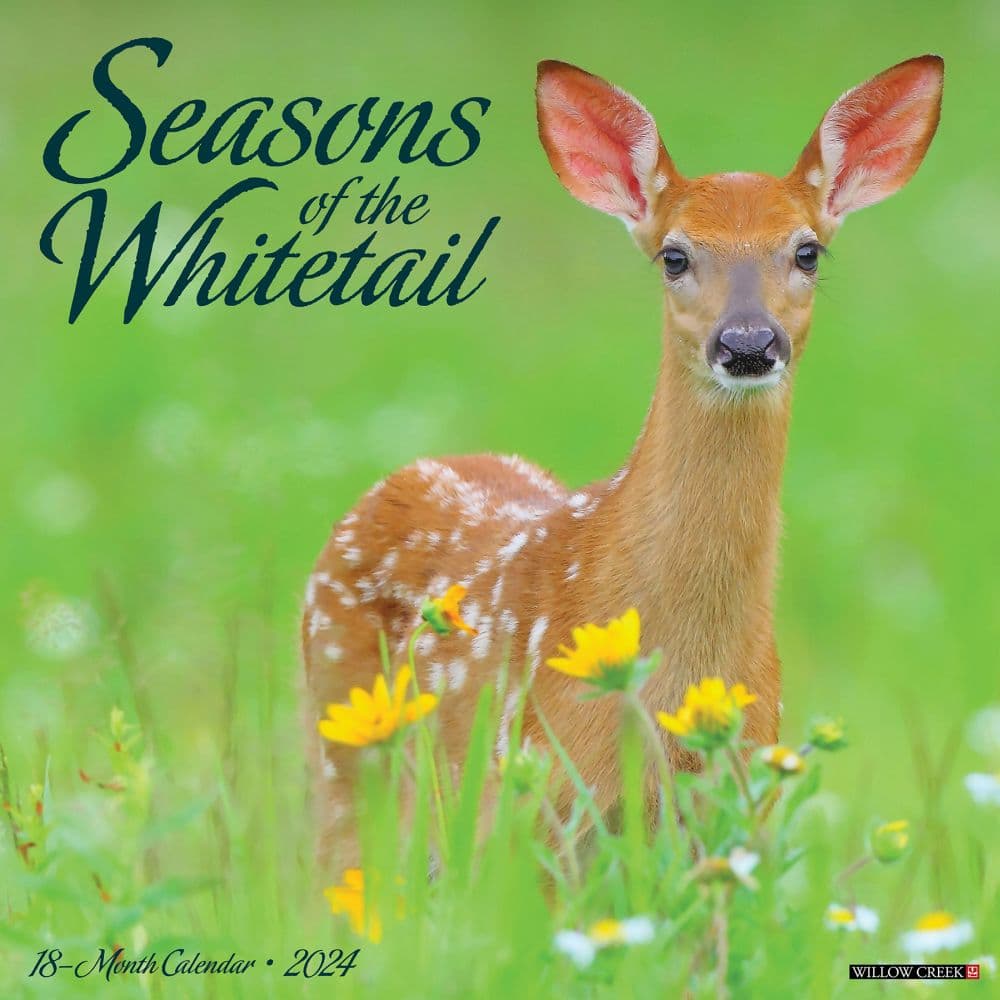 Seasons of the Whitetail 2024 Wall Calendar