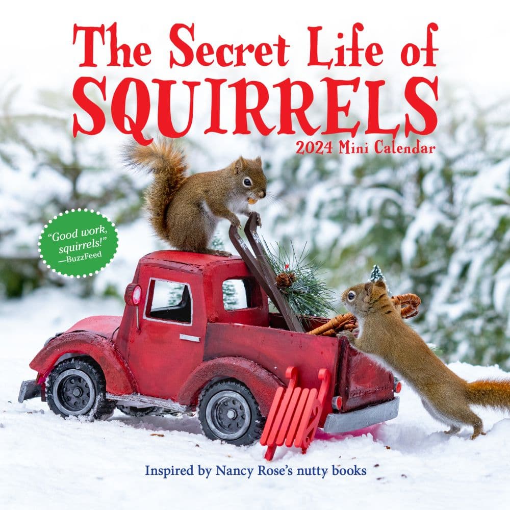 Secret Life of Squirrels 2024 Mini Wall Calendar