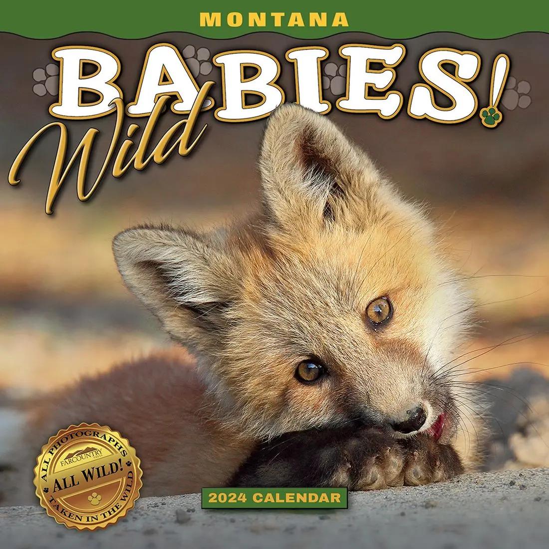 Montana Wild Babies 2024 Mini Wall Calendar