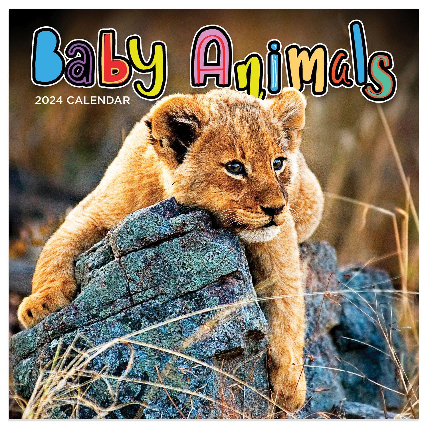 Baby Animals - Wildlife 2024 Mini Wall Calendar