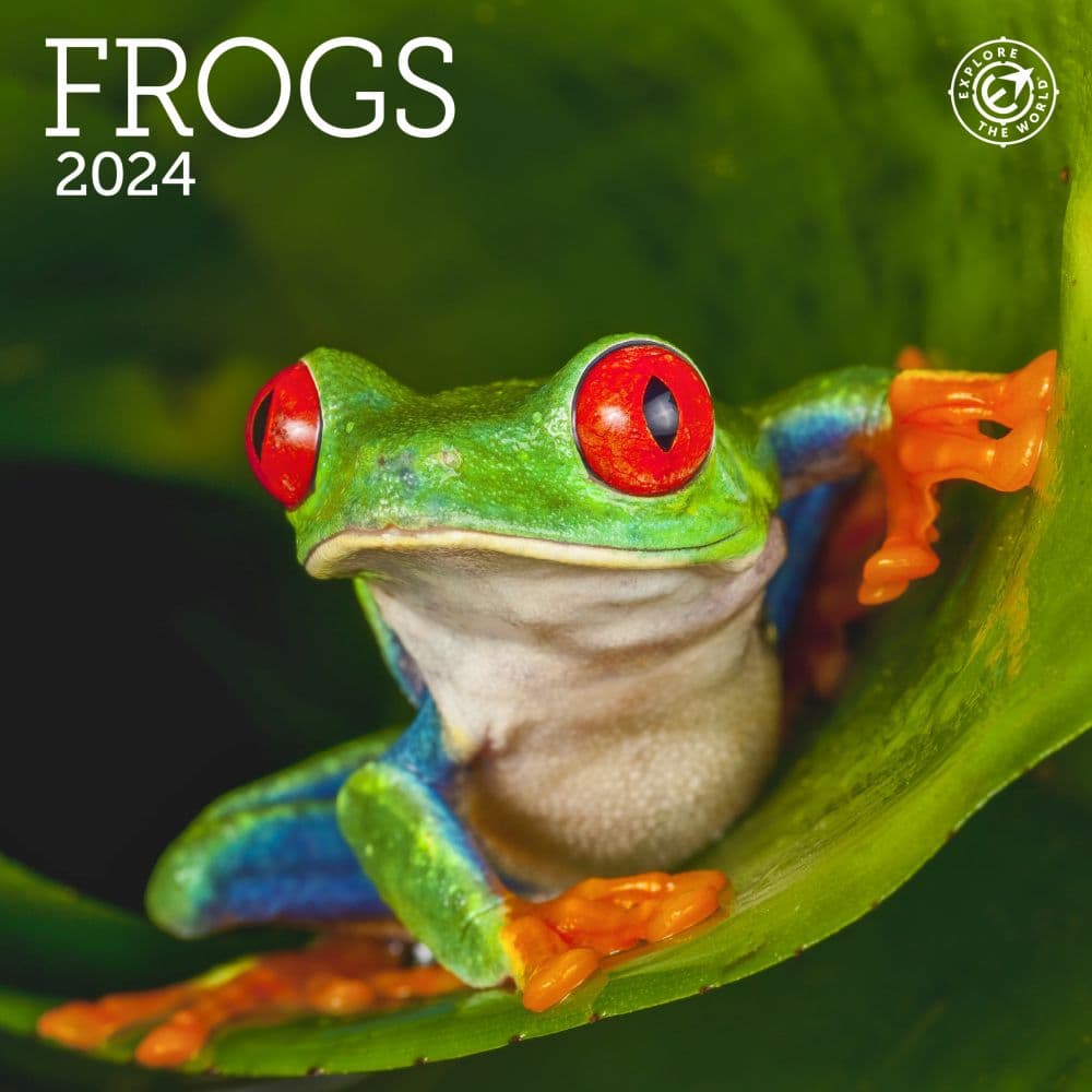 Frogs 2024 Mini Wall Calendar