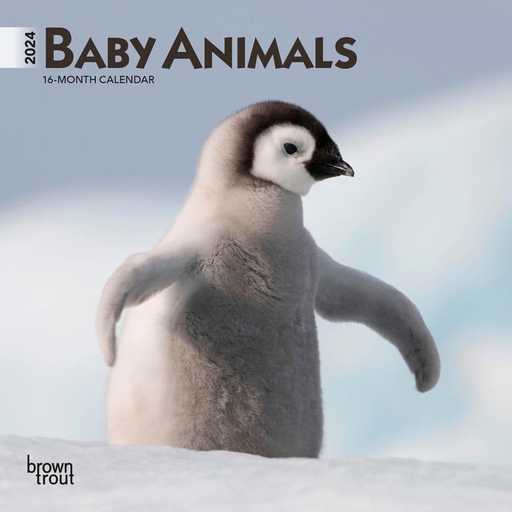 Baby Animals 2024 Mini Wall Calendar
