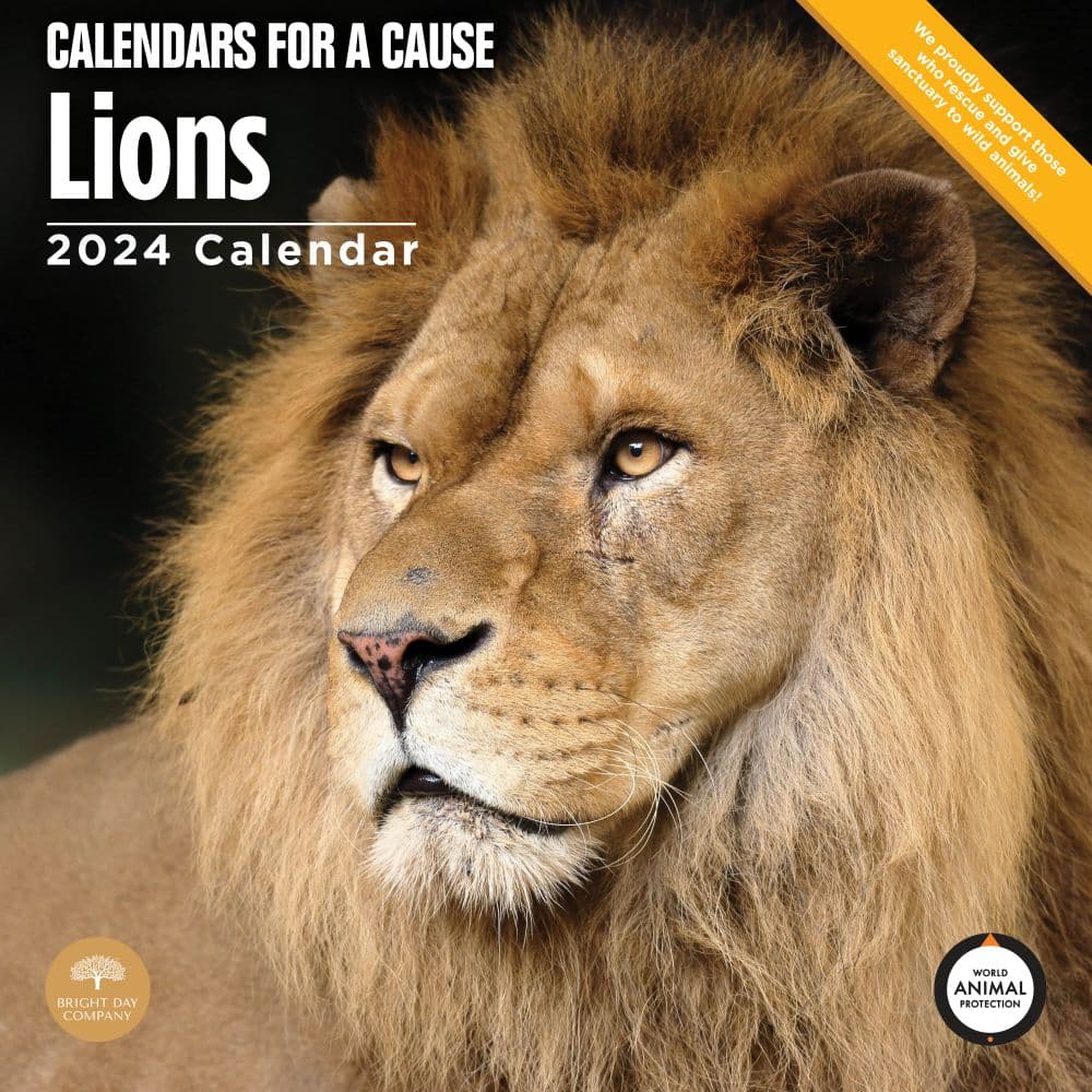 Lions 2024 Wall Calendar