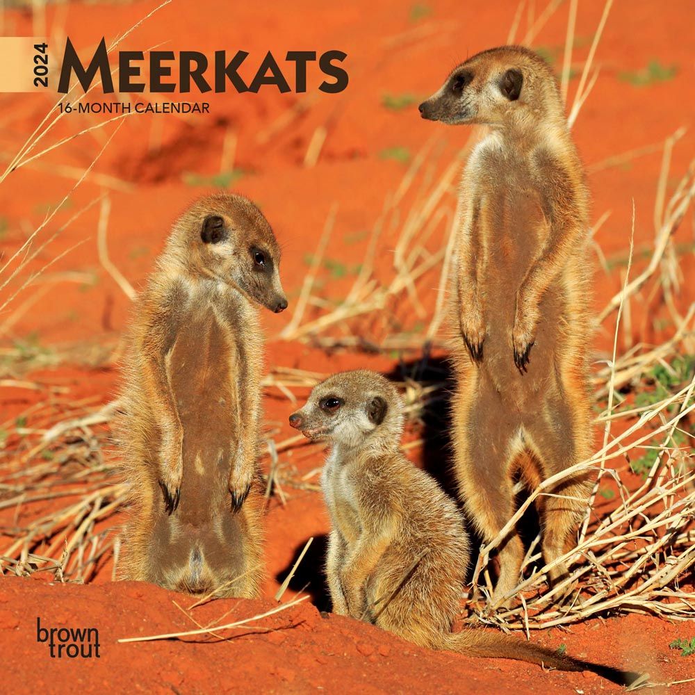 OKeeffe 2019 Planner
