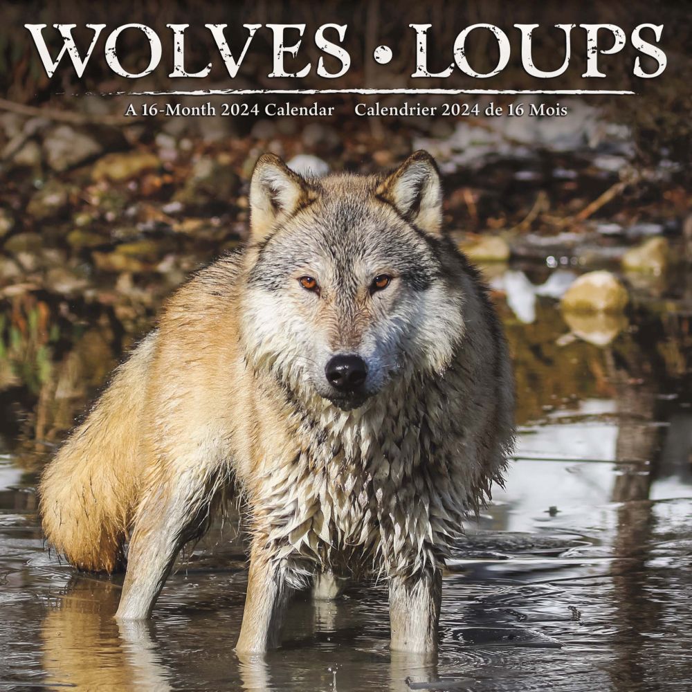 Wolves NG 2020 Wall Calendar