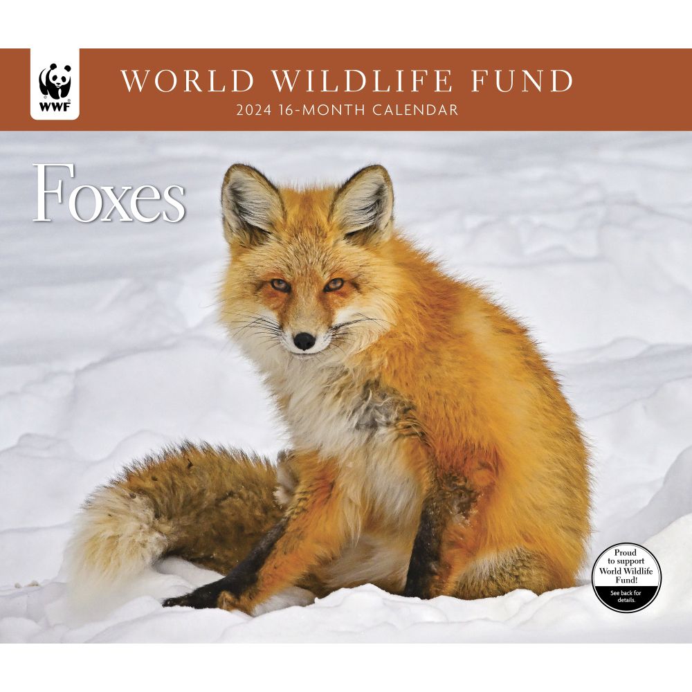 Art Gallery 2019 Wall Calendar