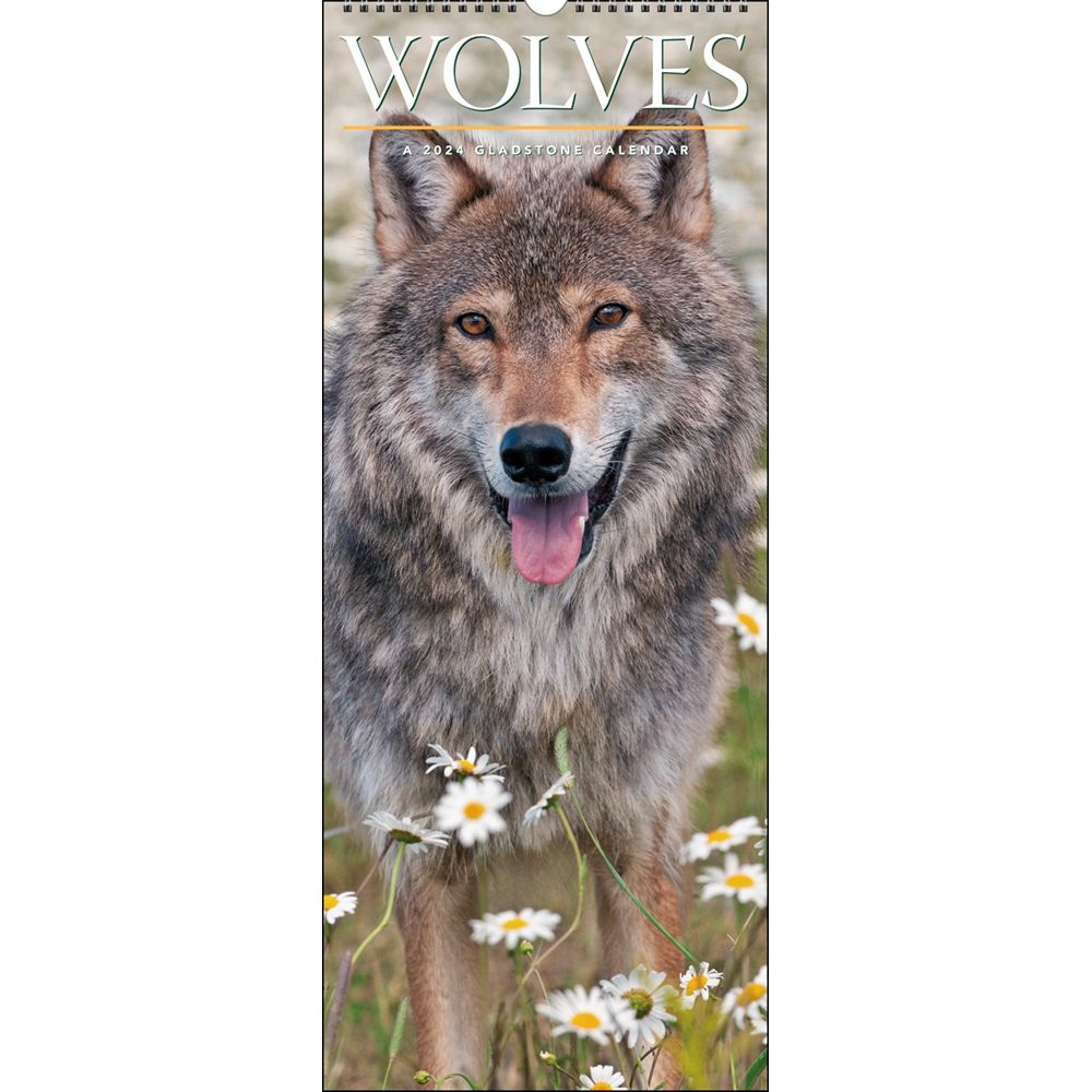 Alexandra Milton 2019 Wall Calendar