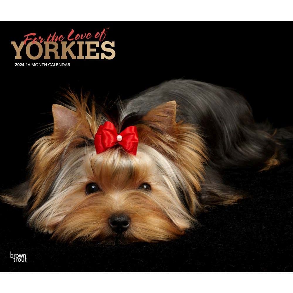 Yorkshire Terriers Deluxe 2024 Wall Calendar