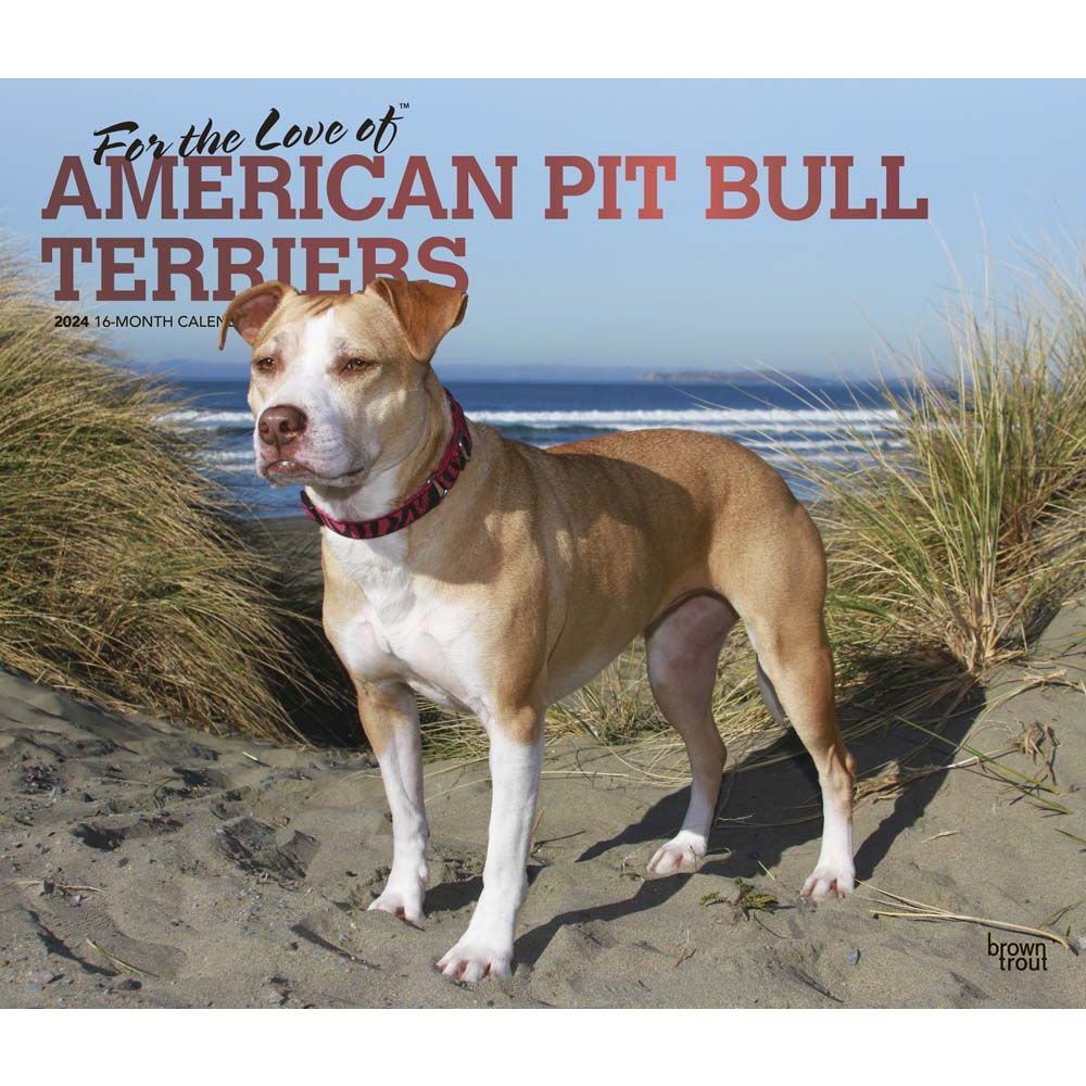 Pit Bull Terriers Deluxe 2024 Wall Calendar