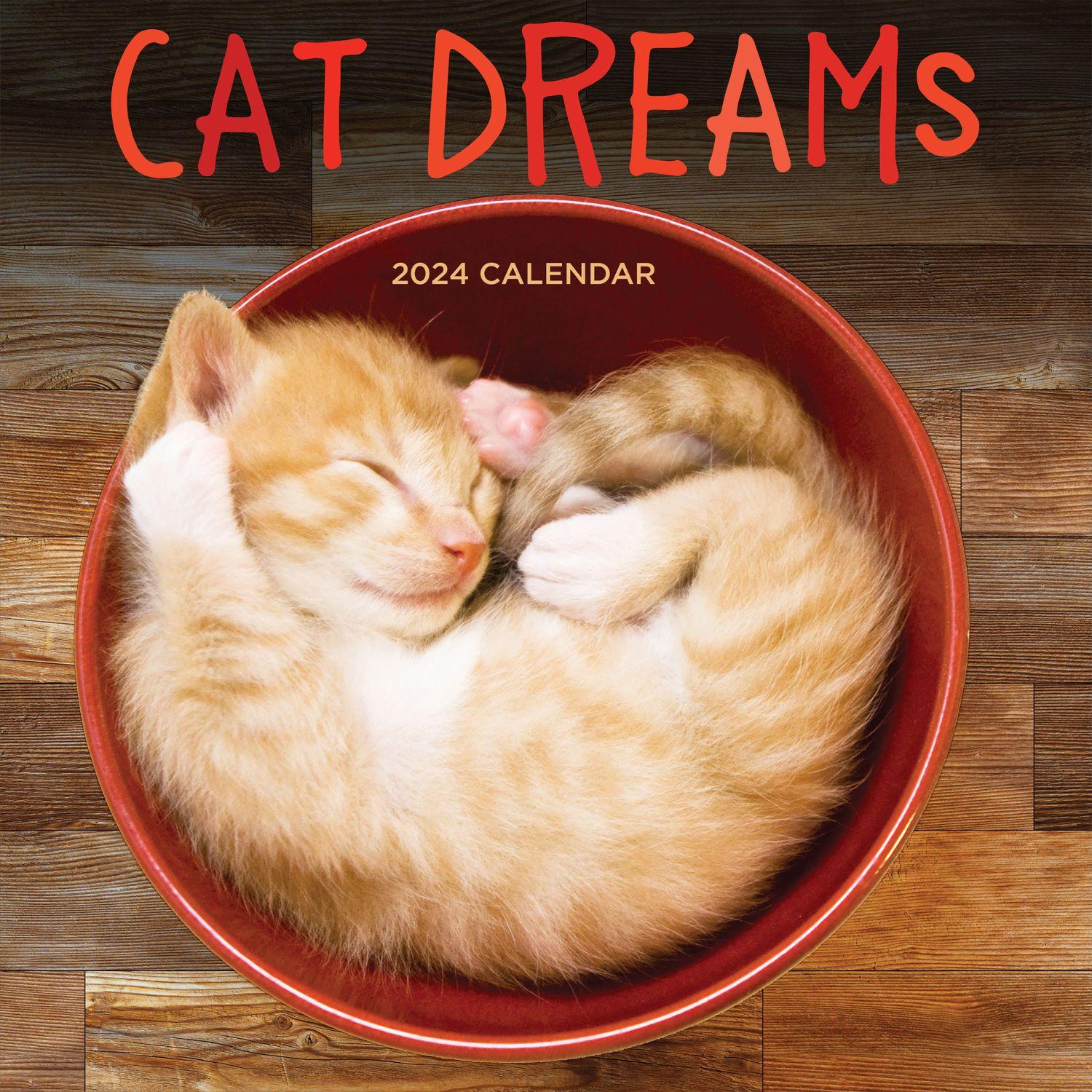 Cat Dreams 2024 Wall Calendar