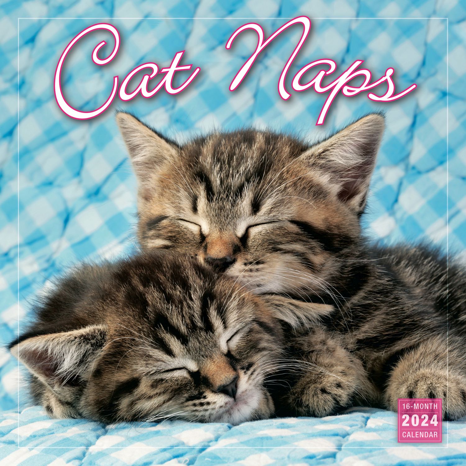 Cat Naps 2024 Wall Calendar