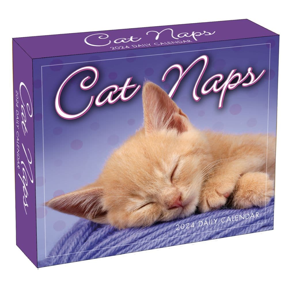 Cat Naps 2024 Desk Calendar