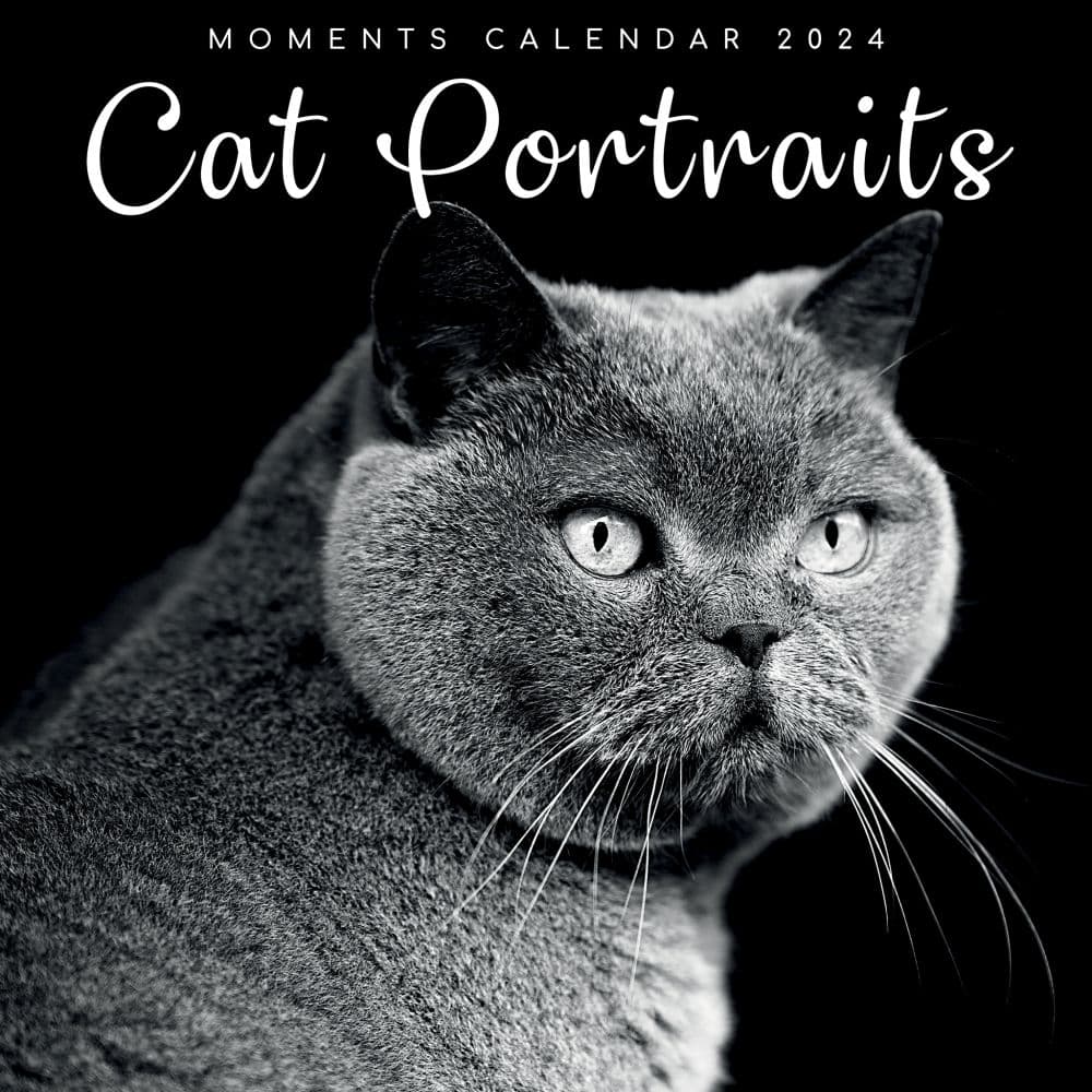 Cat Portraits 2024 Wall Calendar