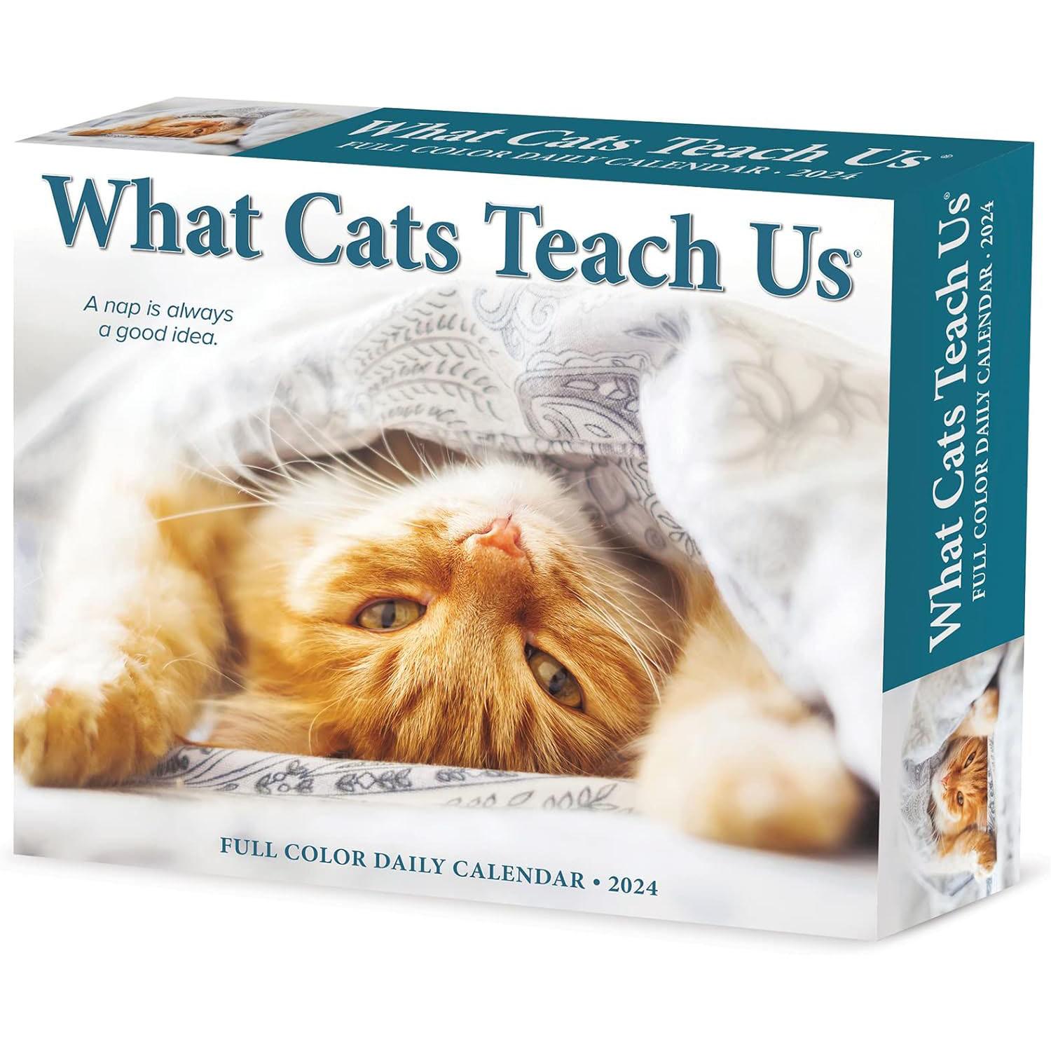 Cats What Cats Teach Us 2024 Desk Calendar