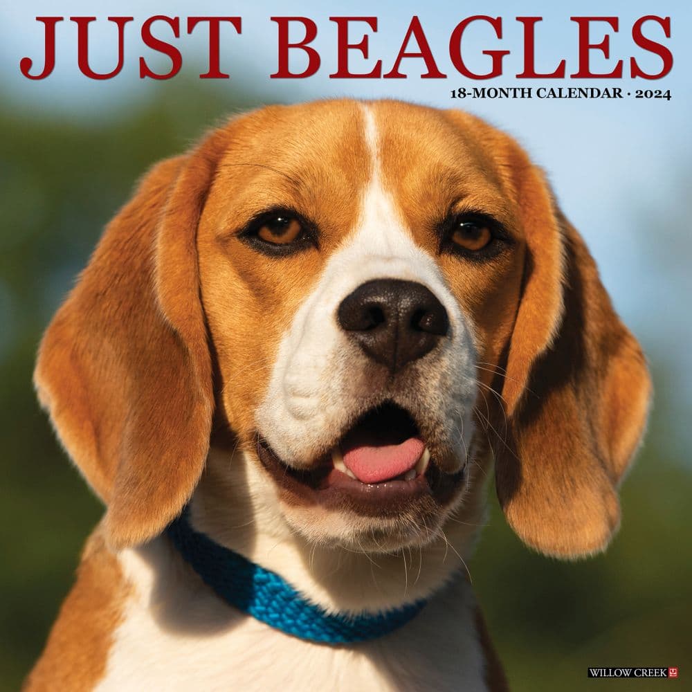Just Beagles 2024 Wall Calendar