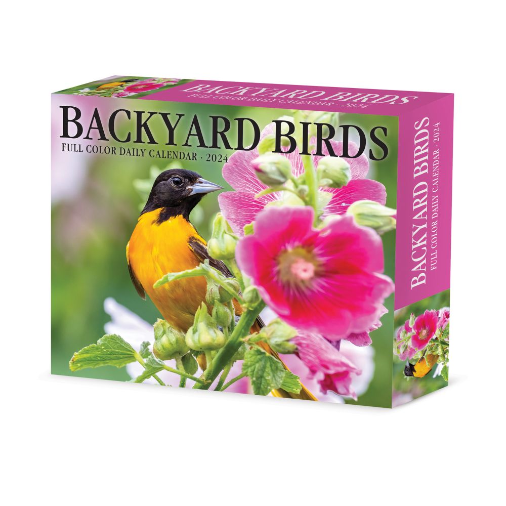 Backyard Birds 2024 Desk Calendar