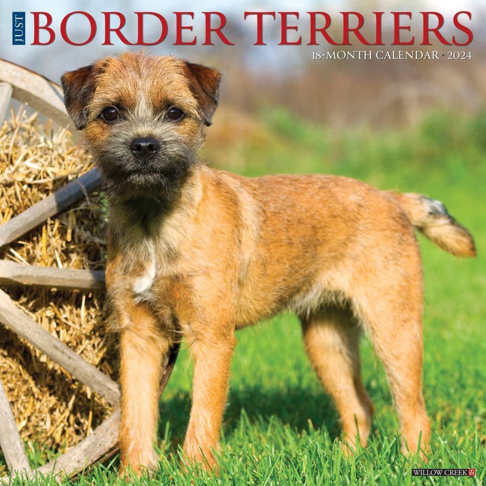 Just Border Terriers 2024 Wall Calendar