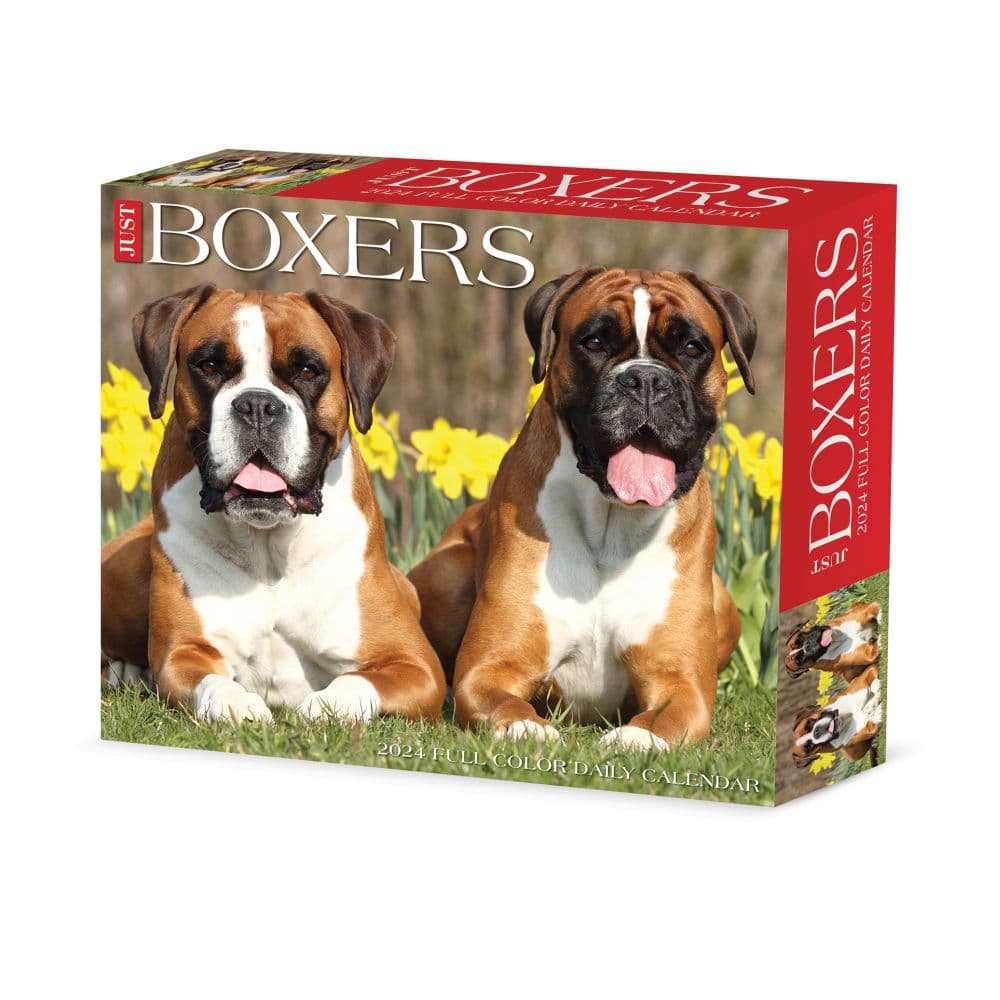 Just Boxers 2024 Desk Calendar