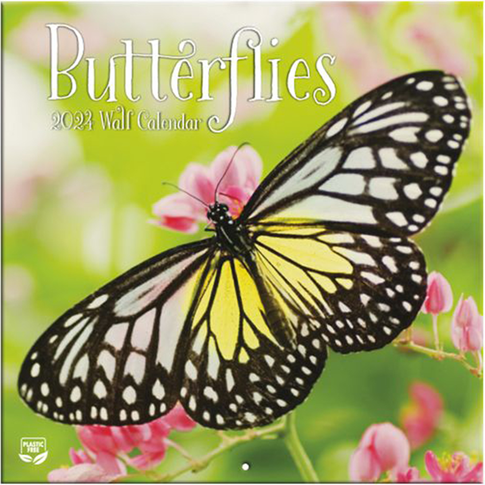 Butterflies 2024 Mini Wall Calendar
