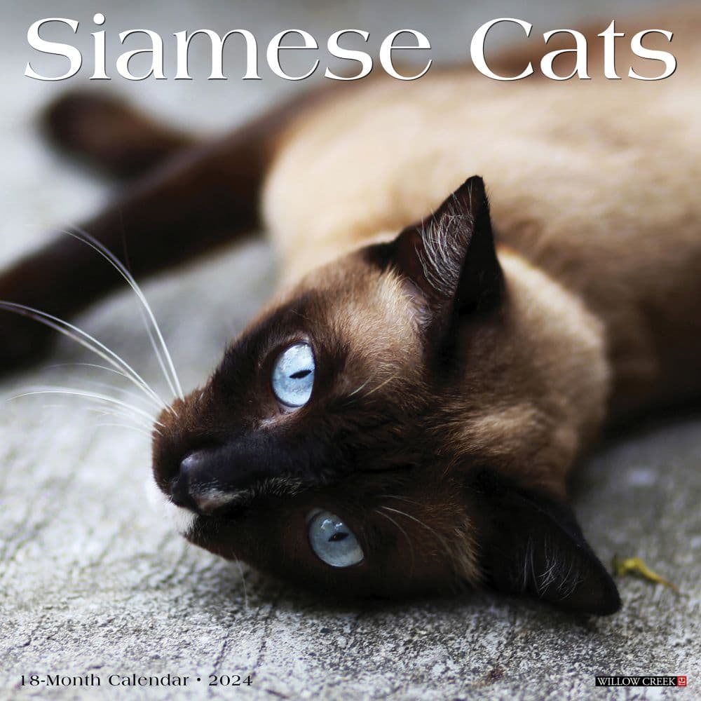 Siamese Cats 2024 Wall Calendar